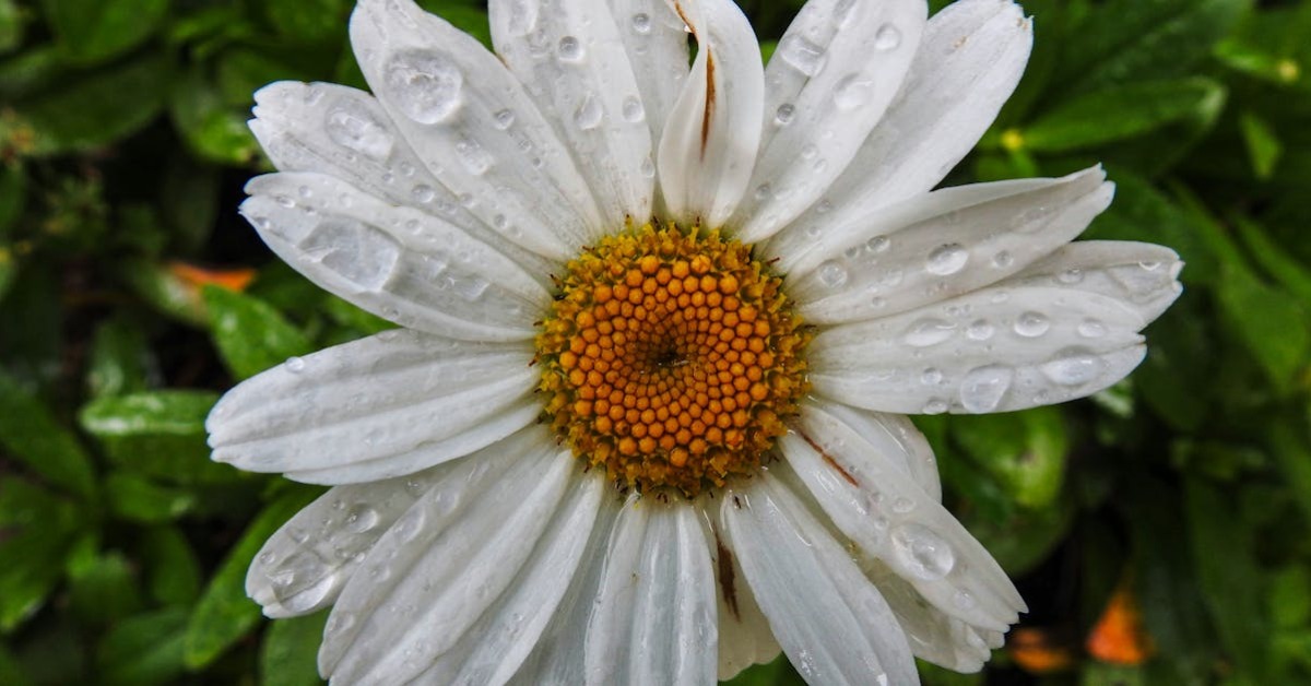 Bahar Yorgunluğu: Nedenleri, Belirtileri ve Geçirmenin 9 Etkili Yolu